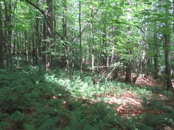 Frenette Rd, Malone, NY 12953