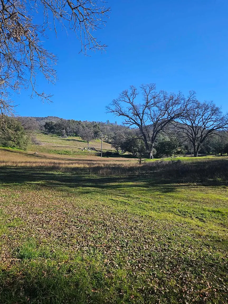 59366 Road 225 photo 1