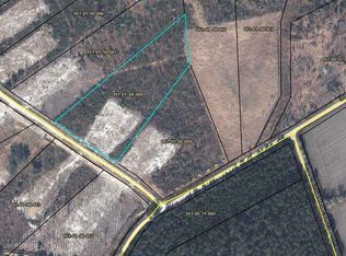 0 Bartons Trl, Early Branch, SC 29916