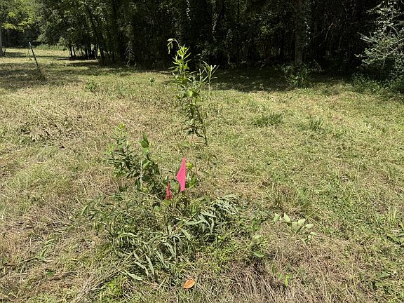 4th image of 2821 Double Branch Rd