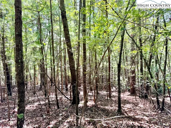 3.31 acres, Lot 37 Poplar Bluff Drive, Lenoir, NC 28645