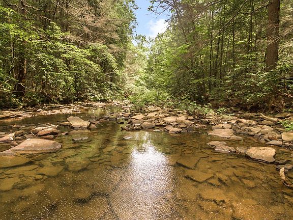 6620_Gray_Fryar_Rd_100