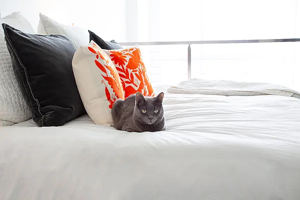 Sold by Corcoran | media 7