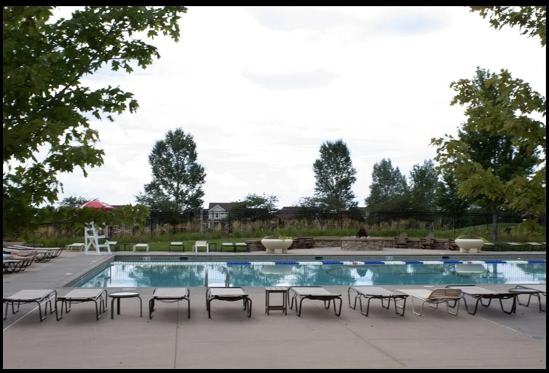 4 bed, 2.5 bath, 1587 sqft, $2,750 — Photo 3