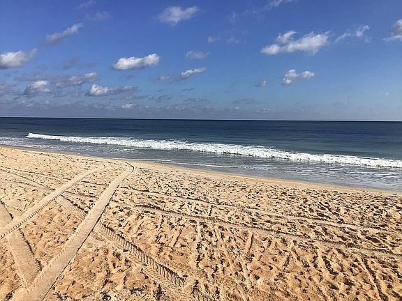 4th image of 2390 Ocean Shore Blvd APT 102