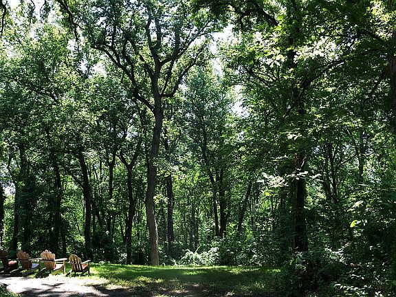 Side yard & view of 5+ acres
