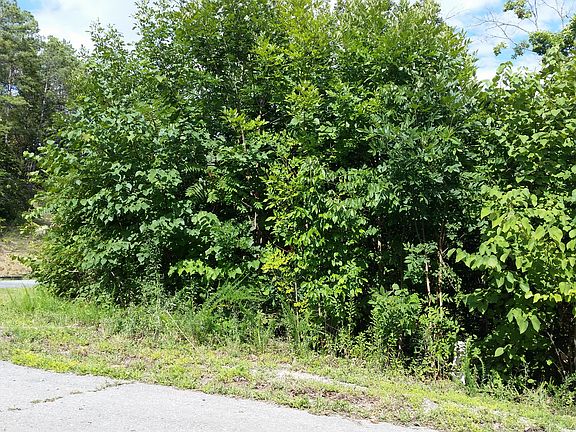 4th image of Lot 43 Stone Bridge Dr.