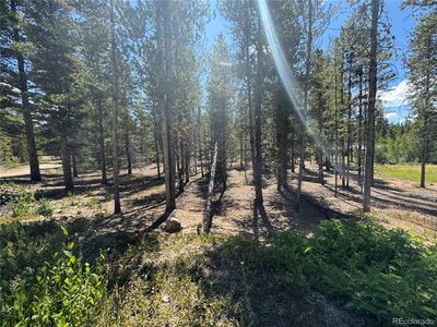 334 Baby Doe Drive LOT 20, Leadville, CO, 80461