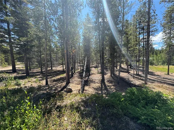 334 Baby Doe Drive LOT 20, Leadville, CO 80461