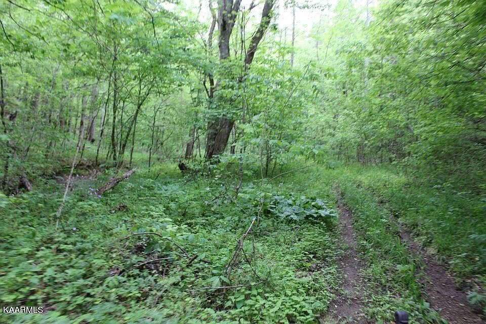 1st image of Leatherwood Rd