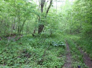 Leatherwood Rd, Sevierville, TN 37876