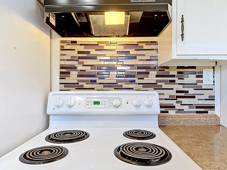 2636 Lemon Tree Ln #2636 — Photo 12