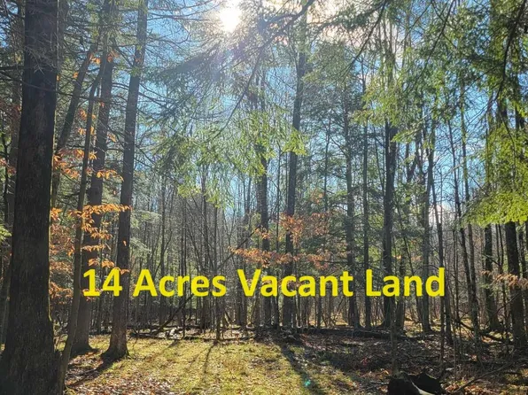 V L Loop Rd, Hesperia, MI 49421