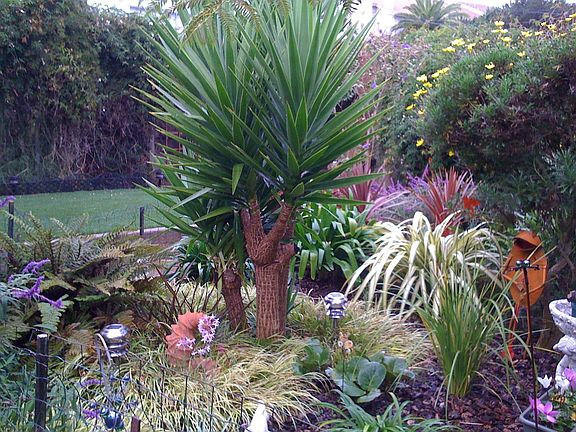garden