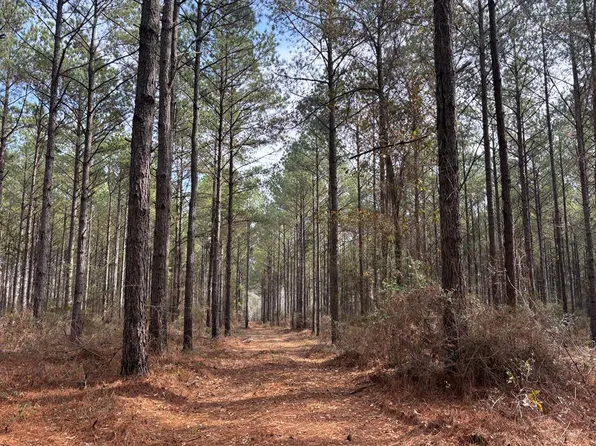 0 County Road 2270, Troy, AL 36079