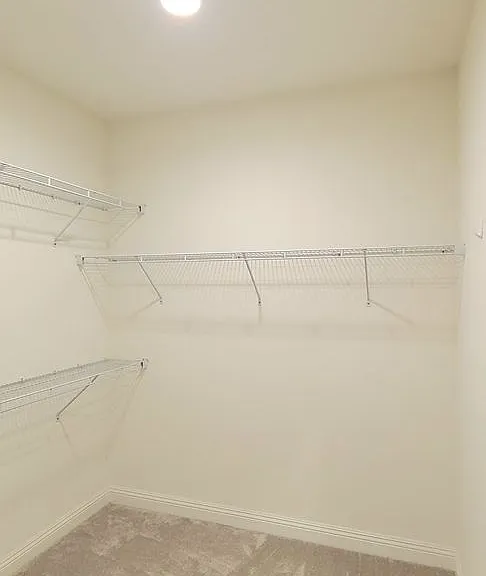 2804 Christensen Ln — Photo 29