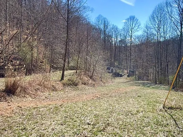 0 Hatfield Br, Mc Carr, KY 41544