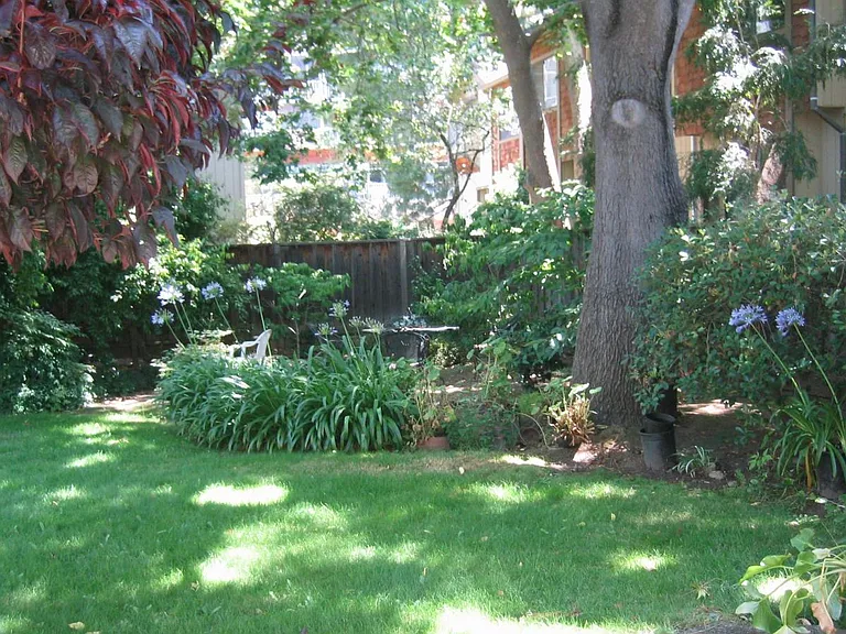 837 Cowper St #M — Photo 42