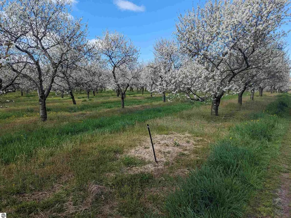 Center Rd, Traverse City, MI 49686