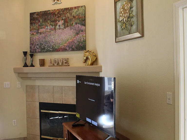Fire place & entertainment