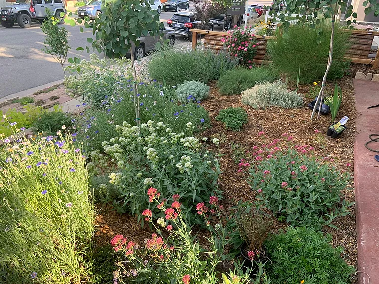 Landscaped front yard