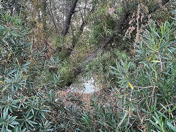 5th image of 12230 Cerrito Dr