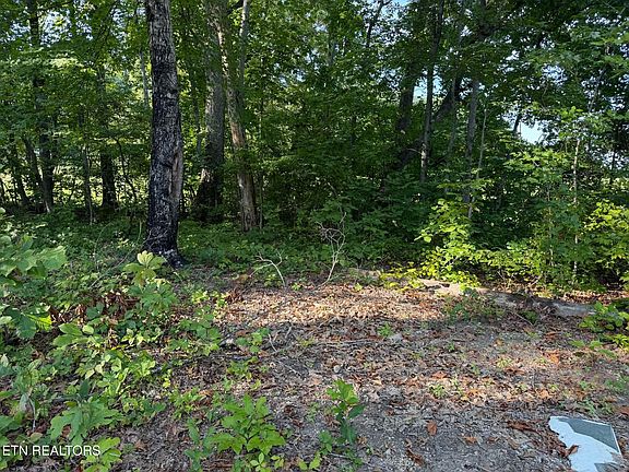 2nd image of Center Ln
