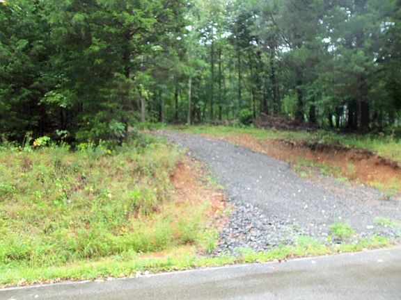 2nd image of 541 Forest Trl