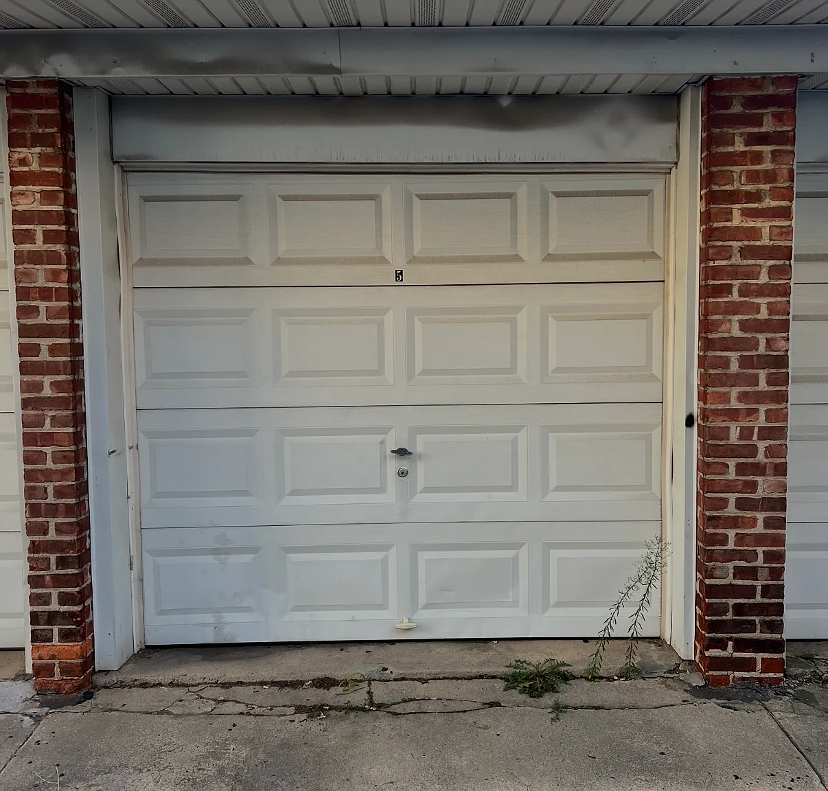 1 bed, $200 — Photo 2