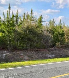 Near 731 Macedonia Church Road LOT 2, Evergreen, NC, 28438