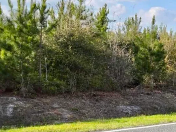 731 Near Macedonia Church Rd Lot 2, Evergreen, NC 28438