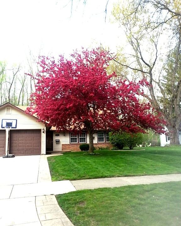 1st image of 2441 Waltham Dr