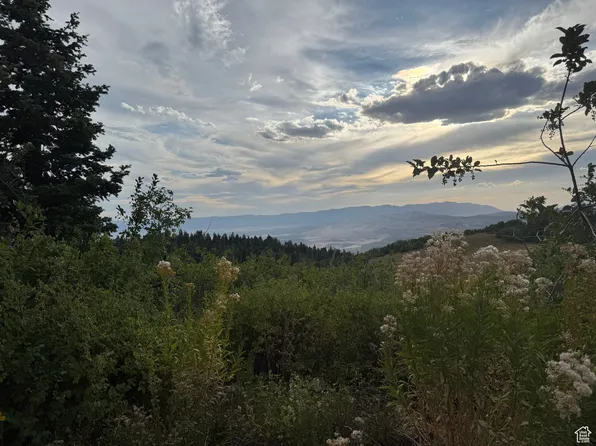 32 Chokeberry Dr #J, Fairview, UT 84629