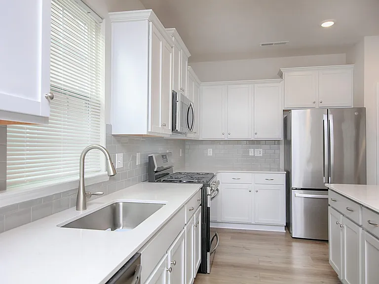 161 White Apple Way — Photo 3