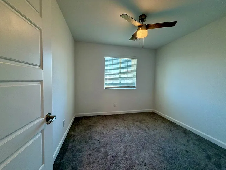691 Pickled Pepper Pl — Photo 29