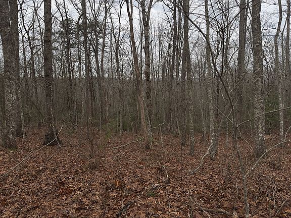 4th image of Tract16r Stockton Bluffs Ln