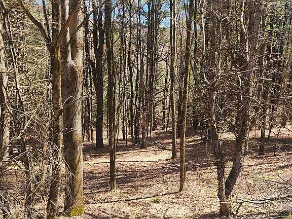 4th image of 114 & 234 Tarbell Hill Rd