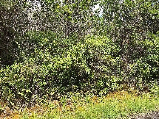 3rd image of Road 3 Hopue Lot 3008