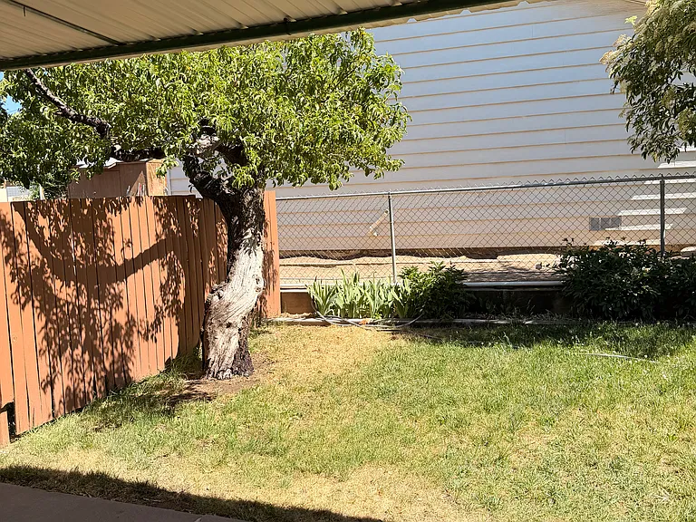806 La Plata Ave — Photo 9