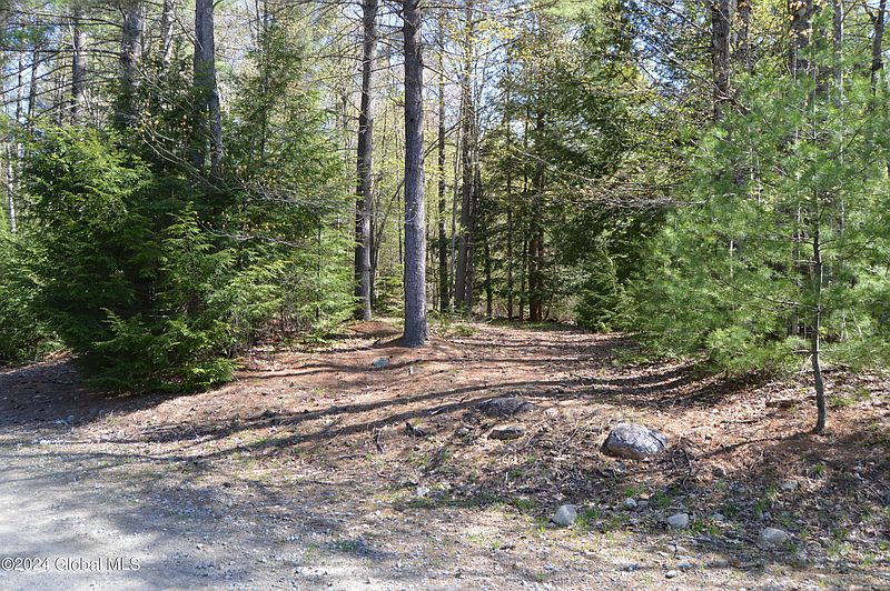 2nd image of 00 Adirondack Heights Rd Lot 8