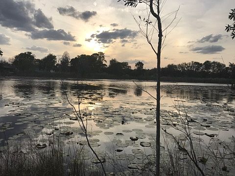 Treasure Lake