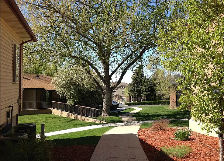 Orchard Gardens (OG) — Photo 13