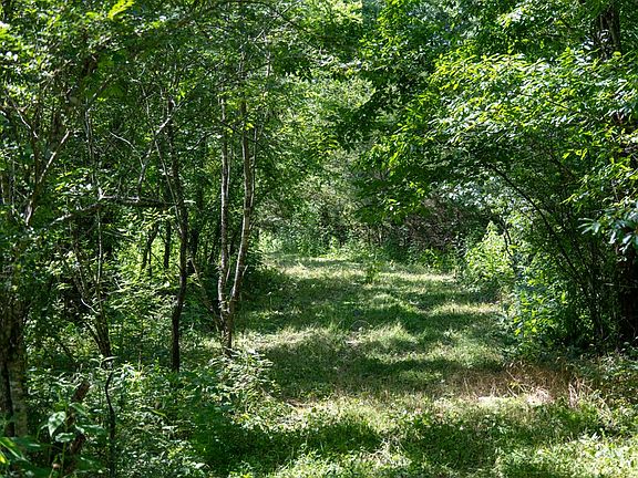 2nd image of 4.99 Hopkins Hollow Rd
