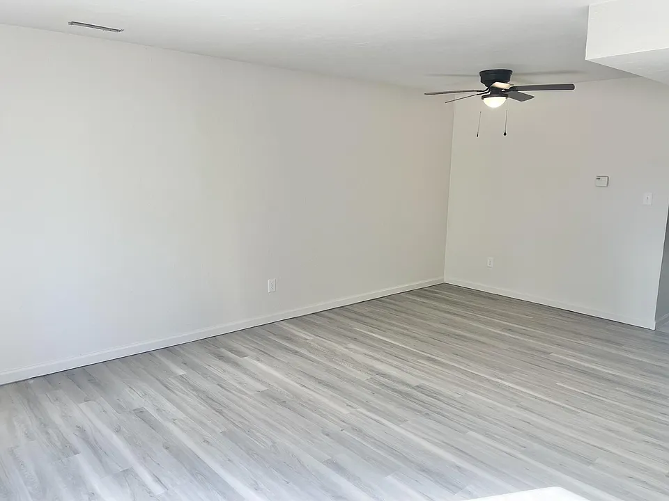 Living room / Dining combo