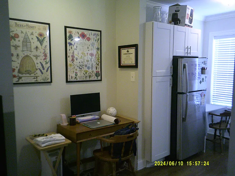 3819 N Greenview Ave #1E — Photo 5