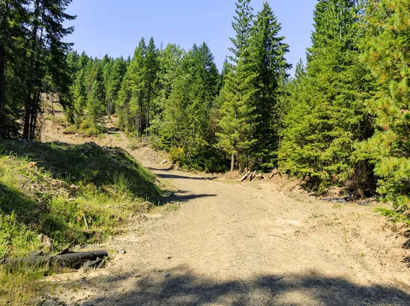 208 Elk Creek Rd, Heron, MT 59844