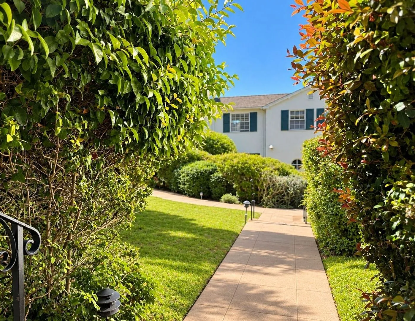 North Berkeley 3BR | 1,445 SF | Steps to UC Berkeley | Furnishing Options — Photo 4