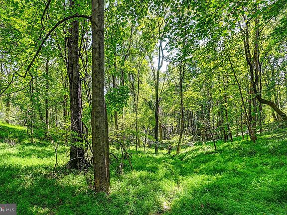 3rd image of 14498 Western Rd