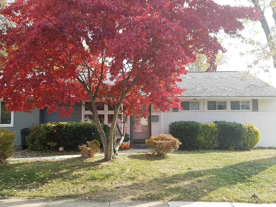 Beautiful Maple in Spring and Fall