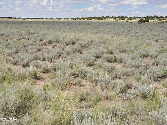 4th image of 76 Acres Cres #6451
